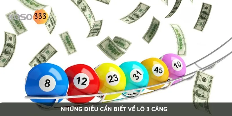 nhung-dieu-can-biet-ve-lo-3-cang